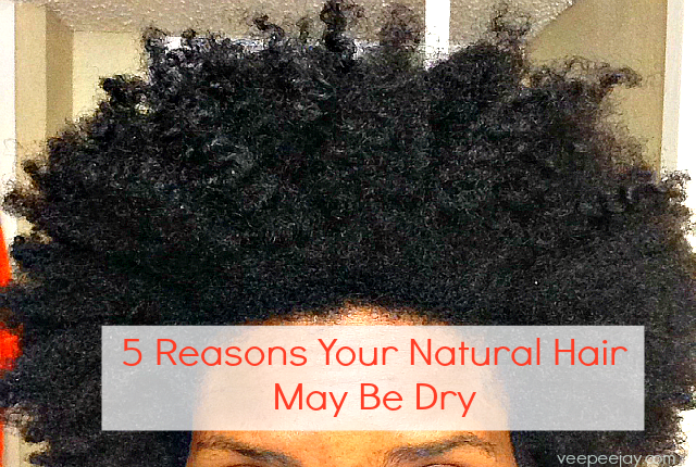 Reason Why Natural Hair May Be Dry