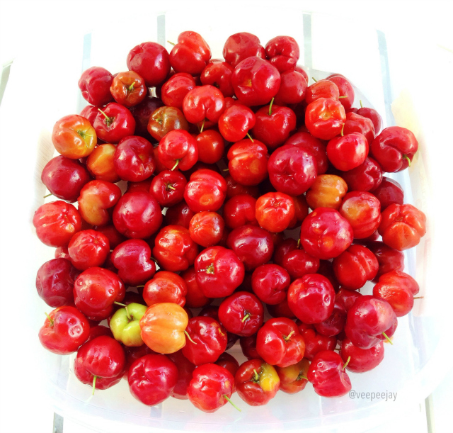 west-indian-cherries-grenada