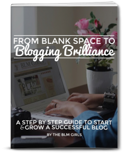 Blogging-Brilliance-Book-VeePeeJay