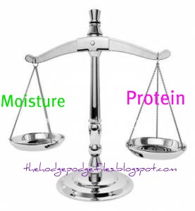 Striking a Balance: Moisture & Protein