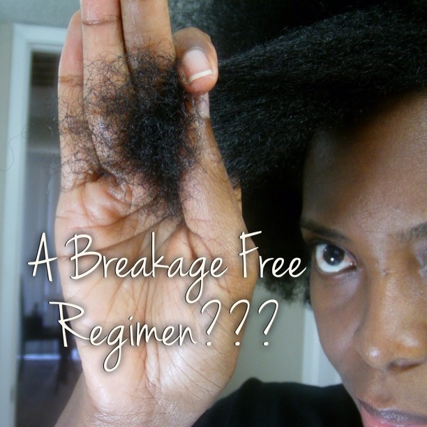Can You Really Have a Breakage Free Regimen?