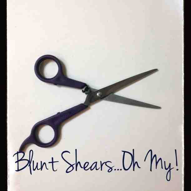 Blunt Shears....Oh My!
